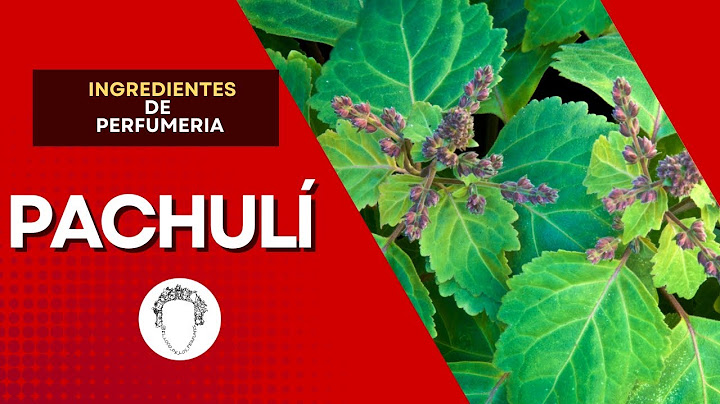 Descubre el Misterio del Patchouli en los perfumes