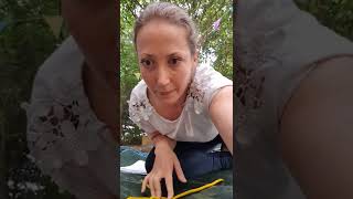 Forest School Unit 2 Clove hitch