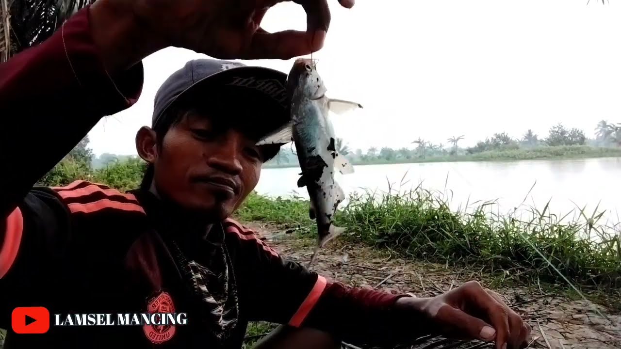 Panen ikan di spot lama ll strek tanpa henti ll ikan utik dan kekes