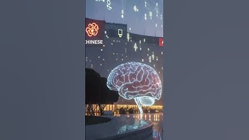 DeepSeek