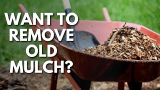 Removing Old Mulch Before Adding New Mulch to Your Beds 💚