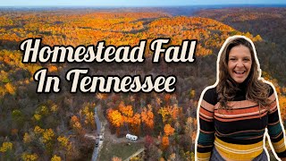 A fall day on our off-grid homestead 🍁 by Runaway Matt + Cass 18,635 views 6 months ago 20 minutes
