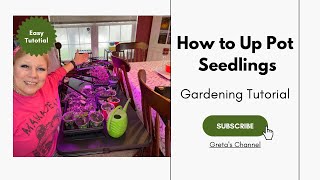 How to Up Pot Seedlings - Gardening Tutorial