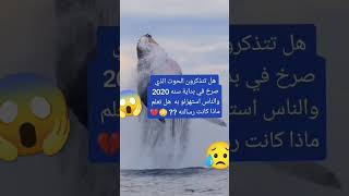 صوت الحوت الازرق المخيف.  #الاوركا #القرش #shark  #تفاعل #reviews #reviewsandgiveaways #2023 #2m