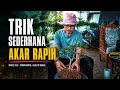 Tips Pengarahan Akar Bonsai Agar menari Lebih Rapi dan Menarik