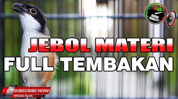 CENDET GACOR SULTAN FULL ISIAN TEMBAKAN COCOK UNTUK MASTERAN CENDET JAWARA !!