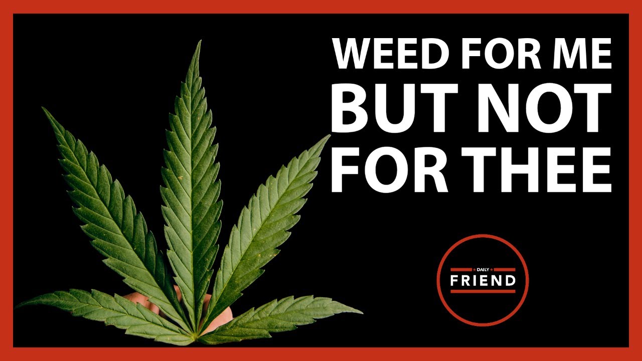 Weed for me but not for thee daily friend wrap youtube