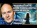 Imagination as the ground of reality with patrick harpur