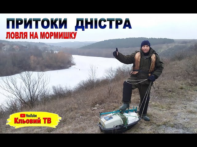 Притоки Дністра