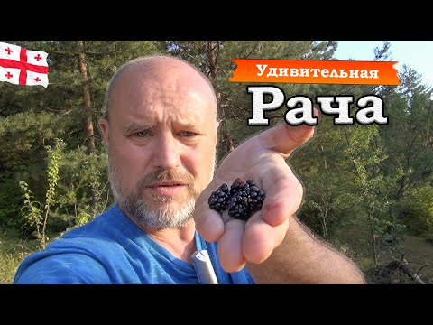 Удивительная Рача || Один день из путешествия в грузинскую Швейцарию