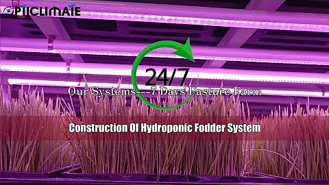 Construction Of Hydroponic Fodder System