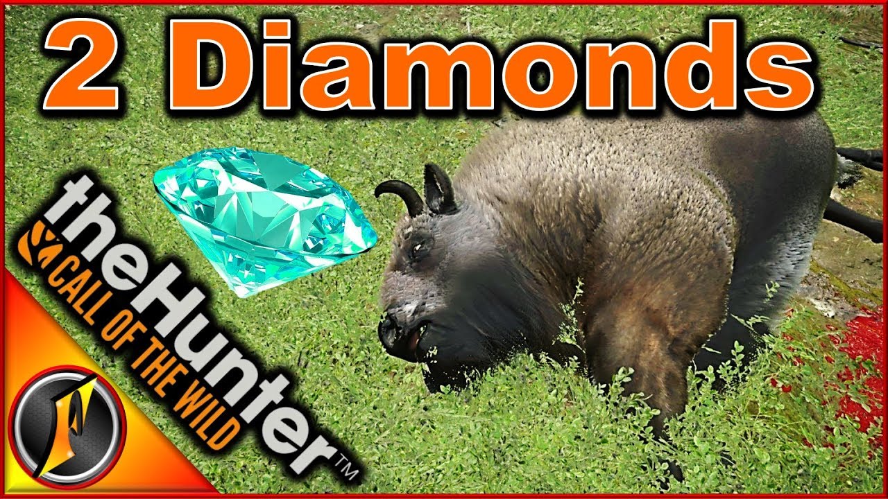 the hunter call of the wild diamond