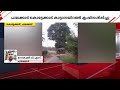 പാലക്കാട് PT 5 കൊമ്പനിറങ്ങി; പല പ്രദേശങ്ങളിലും കൃഷി നശിപ്പിച്ചു | PT 5 | Man Vs Wild