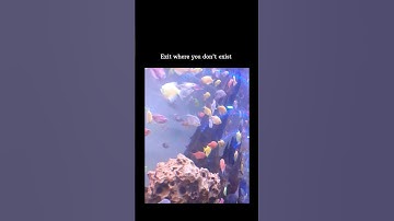 #music #song #exit #exist #sad #unvalue #shorts #reels