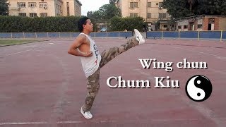 عرض رائع وينج تشون أسلوب تشوم كيو نسر الكونغ فو Chum Kiu Form Wing chun