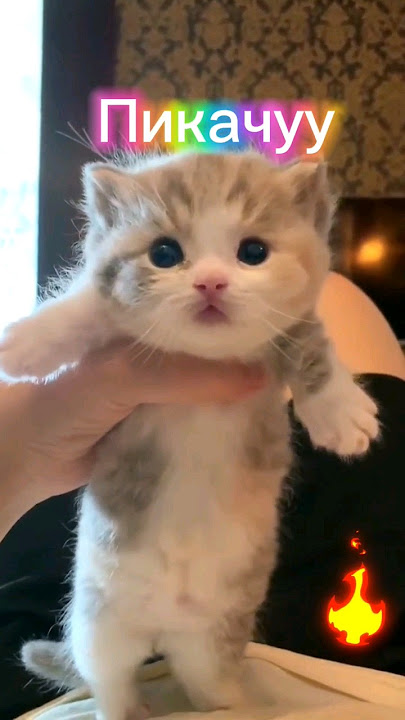 Porno film Katerina yana