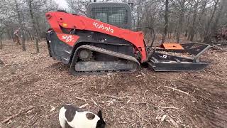 Clearing all the trees away from the plum trees . by Jon Matlock 42 views 1 year ago 1 minute, 7 seconds
