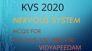 MCQ ON NERVOUS SYSTEM FOR KVS|NVS|RRB|SSC|PSC|KTET|CTET  Part1 KVS PRT Exam
