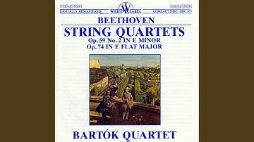 String Quartet in E minor Op.59 No.2: III. Allegretto