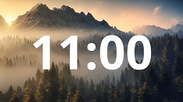 11 Minute Countdown Timer With Alarm (Simple Beep)