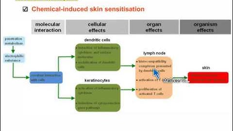 Webinar: Adverse Outcome Pathways: Emerging Regulatory Requirements and New in vitro Models