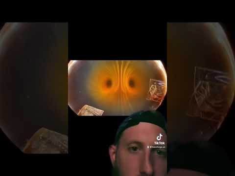 Magnetic Visuals