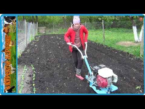 Жена и мотоблок, начало положено, чуть не снес сарай трактором