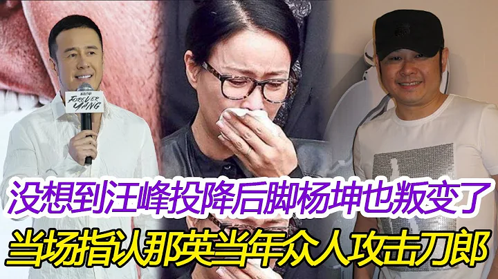 万万没想到，前脚汪峰投降，后脚杨坤也叛变了，当场指认那英当年伙同众人攻击刀郎，7分43秒现场录音锤实，网友：那英万劫不复！#那英#刀郎#罗刹海市#杨坤#汪峰 - 天天要闻