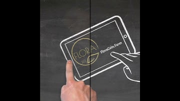 Flora Coin XFL Chia Fork altcoin - Chia 1.2.3