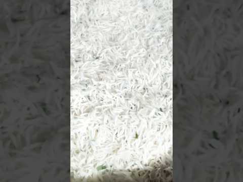 pyar karte karte thak gaya. ab Biryani banane lag Gaya.😁💯 #shorts #viral #trending #vlog by 👑  𝘾𝙍𝘿  𝙊𝙛𝙛𝙞𝙘𝙞𝙖𝙡