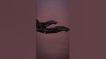 Nostalgic Vibes.  #f14 #tomcat #topgun #maverick #dcs #dcsworld #msfs2020 #flightsimulator #navy