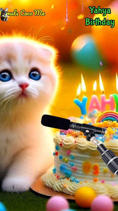 YAHYA HAPPY BIRTHDAY | HAPPY BIRTHDAY SONG WITH NAMES | Adorable Cute Cat 😺 #cat #happybirthday