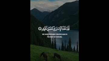 سورة التين #قرآن