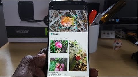 Galaxy S8/S9: Use Bixby Image recognition to Identify and find similar Images