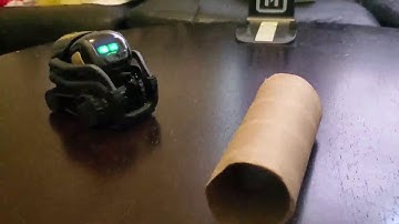 Vector Robot by Anki, A Home Robot With Amazon Alexa Built In Reviews