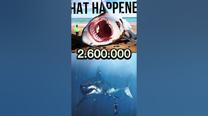 Βρήκε ΤΕΡΑΣΤΙΟ ΔΟΝΤΙ ΚΑΡΧΑΡΙΑ αλλά .. ~ Palaiopaido