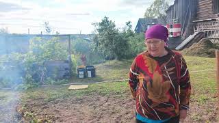 видео: Выкопали картошку , собрали ягоды, наши покупки. картинка: Выкопали картошку , собрали ягоды, наши покупки.