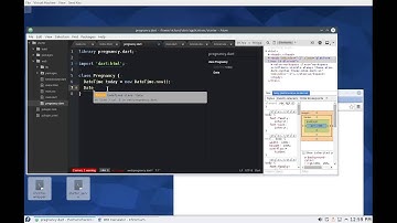 Dart Web Programming for Beginners: 18 Pregnancy Calculator