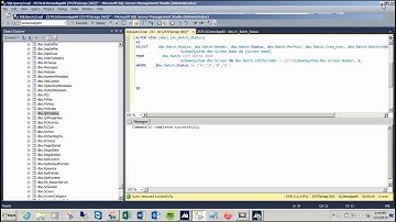 Microsoft Dynamics SL Quick query Developer Functions