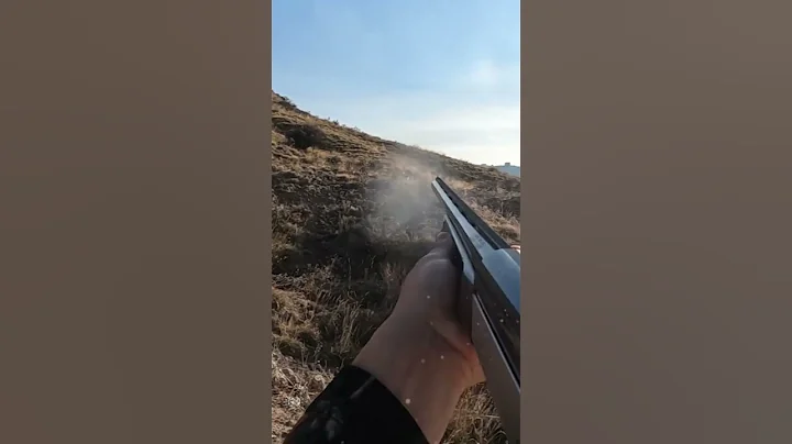 TAVŞANI ŞAVROTİNLE VURDUM. #harehunting #hunting #tavşanavı #hunter