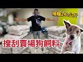 【回饋列車】挑戰！搜刮賣場飼料！賓士GLC coupe居然這麼能裝！捐糧240kg！希望能讓毛小孩們能吃飽！#毛小孩#做愛心#小狗【豹子腿方昶詠】