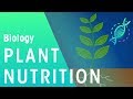 Plant Nutrition | Plants | Biology | FuseSchool