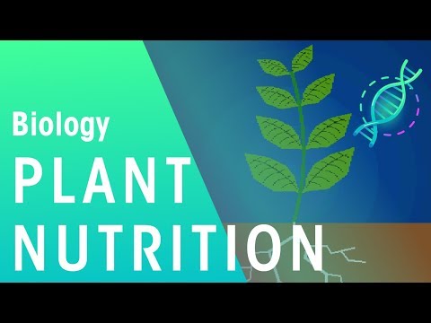 Video: Features Of Plant Nutrition