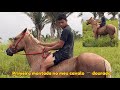PRIMEIRA VEM DO DOURADO SENDO MONTADO SERÁ..🐎