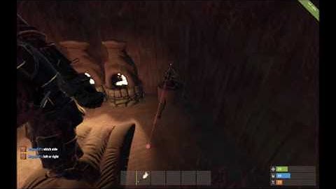 Rust fly hacker caught