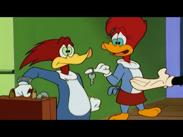 Woody Woodpecker/Comic(80s) - 2000toys高円寺店