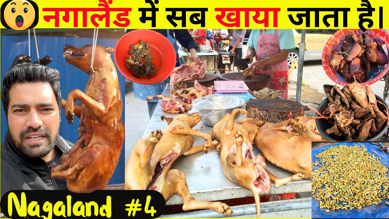 यहां इंसानों को छोड़कर सब खाया जाता है। Dimapur Dog🐕 Meat Market Nagaland 4K