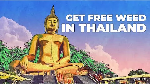 Woody Harrelsons Hollywood Dispensary, Thailands C...