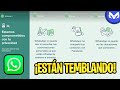 WHATSAPP ESTADOS: EL Ultimo Intento para que regreses!!!!!!!!