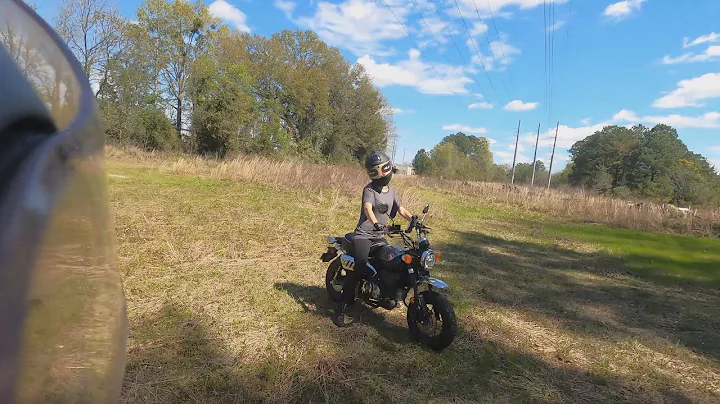 Honda Monkey & Grom Clone Off Road ???